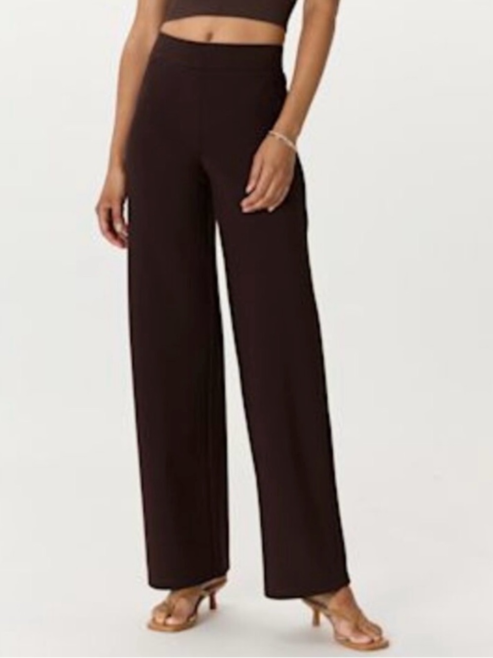Quince Wide-Leg Pants in Dark Brown
